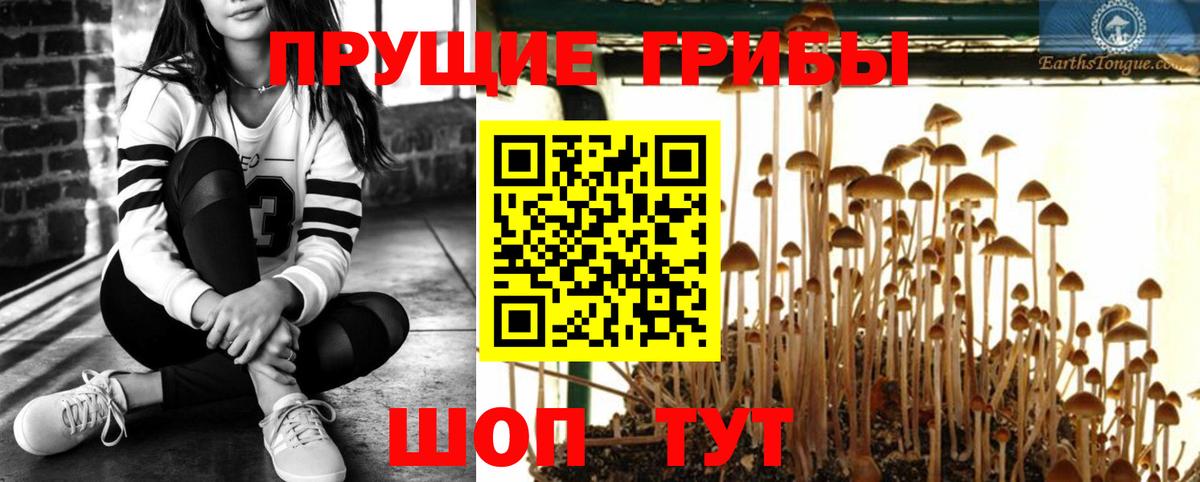 Псилоцибиновые грибы GOLDEN TEACHER  Вход с VPN  Галлюциногенные грибы Psilocybe  Салехард 